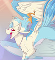 *R*_Winged beauty