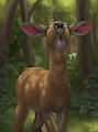Doe Apreciation Part 0 by Difetra