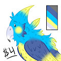 Quick Adopt : Random Birb!