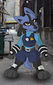 Lucario