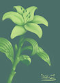 Green Lily
