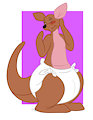 Baby Kanga