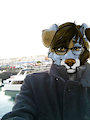 C: Cold Day for a Boat Ride by horsefever