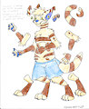 Crux 4D by Flexico