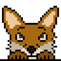 Fox Peek
