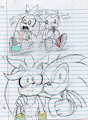 Sonilver doodles