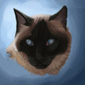 Pet Portrait -- Blue