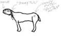 Mullet Brony