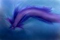 Sketchpaint - Micky Leviathan #6 by Micky