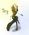 Tey the Gryphon  by RozelRoo