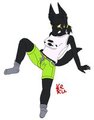 Aft-herm-ath Jackal by KeKu