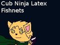 Ninja kitten