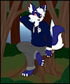 C : A boy in the woods