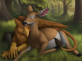 [c] Doe Appreciation Part  5