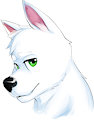 amorak icon