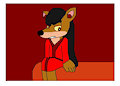 Pinstripe Potoroo with longer hair