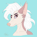 AnukaCat Headshot #1 [C] by AliyahPup