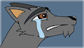 Fighting Back The Wild Tears
