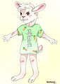Bunny shirt