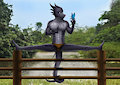 Zen and Meditation by JazzyPizazzy