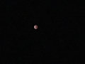 Blood Moon of 2019