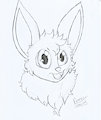 #27 - Eevee!