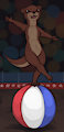 Otter Ball