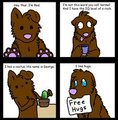 introductions are important