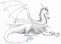 Quad TJ by Mirsathia 