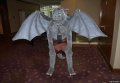 ElevatorCon (AC 2011) 