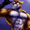 Werefox by bleakcat