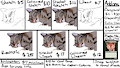 Commissions Sheet