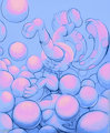 TailsLover100 - The Ball Pit by OverFlo207
