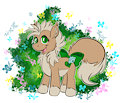 Tahla Pony