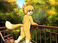 Commission