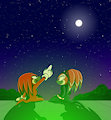 Knuckles and Shade (Starry Sky)