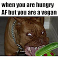 i made a meme