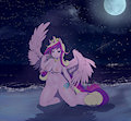 princess cadence
