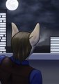 A Wish Right Now by lionsilverwolf