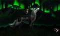 Aurora night by Swift47