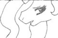 Hero-p19