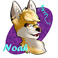 Loveapalooza headshots #1: Noah