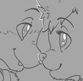 new sketches style