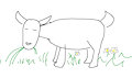 A goat