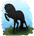 My horse