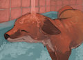 Fox Bathtime by MarsMiner