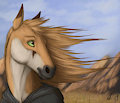 Ren Hoss is the mane attraction!