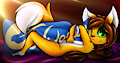 Mia's Silky Pillow