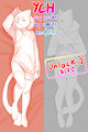 Dakimakura YCH [SOLD]