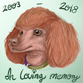 In loving Memory by Zinners